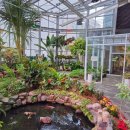 곤충생태관_3 이미지