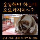 리스펙트킥복싱아카데미 이미지