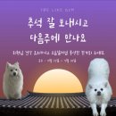 더좋아짐 이미지