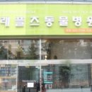 래플즈동물병원 이미지