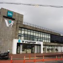 제주동물메디컬센터