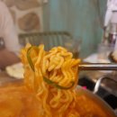 빨강다람쥐 이미지