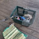 이마트24포천일동점 이미지