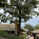 윤집택지 | [여행] [하동/구례] 🌿힐링 가득한 1박 2일 알짜배기 코스 (관광지·맛집·카페 총정리📍) / 비오는 날...