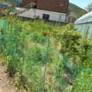 내남농장 이미지