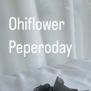 오하이플라워 이미지