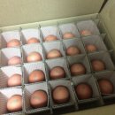 뜨레난농장 네이버블로그