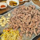 마을오리 이미지