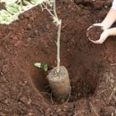 MOM’S GARDEN 이미지