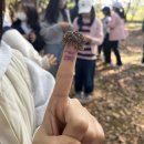 정암초교 이미지