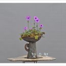 피기피기 이미지