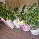 라성호텔 사거리 이미지