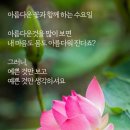 수요일 이미지