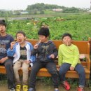 하나농장 이미지