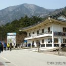 무릉계곡 이미지