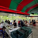 성불산장앞 | 광양 계곡 추천 어른 아이 놀기 좋은 수심이 다양한 계곡, 염소 떡갈비 맛집 &#39;꽃사슴산장&#39;