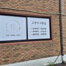 소중하냥 이미지