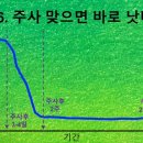 민상혁기둥정형외과의원 | 허리디스크 파열(L5-S1) 보존치료 1-3주차 후기