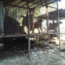 뜰위에농장 이미지