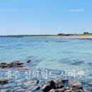 신화자동차정비 | [제주] 제주 숙소 추천 가족과 함께 가기 좋은 &#34;제주 신화월드 서머셋&#34; (+탐모라 수영장, 아기랑)
