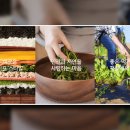 농업회사법인 정다운(주) 이미지