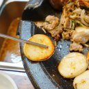 사천오리 네이버블로그