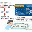 해피루트