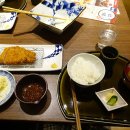 일본 마쓰야마 오카이도 맛집 돈까스 톤톤 &amp; 미스코시백화점 푸드코트