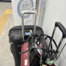 GRD | 최고의 종강(上海-1)