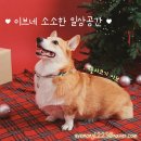 개르메스 이미지