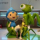 양평곤충박물관 | [경기/양평] 양평곤충박물관 후기｜아이와 가기 좋은 곤충 체험 공간