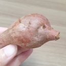 연화공인중개사사무소 이미지