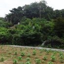동산리마애여래상 이미지