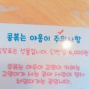콩볶는야옹이 이미지