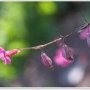 낙용농장 이미지