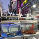 모리아오피스텔 | 신길동맛집 온새미로 매년 겨울마다 찾는 안산대방어맛집 내돈내산 솔직후기