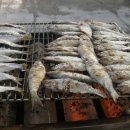살리다 이미지