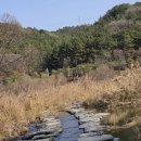 민성산137매봉재보루191도솔산207두루봉186연봉산187운등봉114소태봉164삼각점봉(123)옥녀봉138문래산(106m)/대전서구 이미지