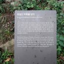 유달산 미륵불 암각 이미지