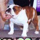 써클켄넬 이미지