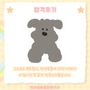 반려동물관리사과정 이미지