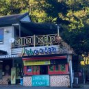 예당습지생태공원 | 보성 녹차밭에서 아이스크림만 먹구 온 人 (애견동반 가능?, 예당습지 생태공원)