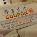 하늘날닭 이미지