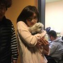 강아지사랑 이미지