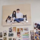 오정로 | 사진관 열두달 :: 강아지 한복 컨셉 사진 찍으러 다녀왔어요 / 내돈내산 후기