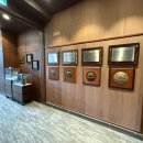 테디벨리 이미지