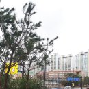 서문주유소 이미지