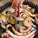 산꼼장어 이미지