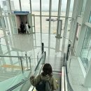 917 | 대한항공 인천~취리히 노선 B787-10 KE917 이코노미 탑승후기 | 기내식, 레그룸, 꿀템