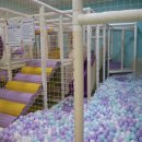 청도소싸움미디어체험관 이미지